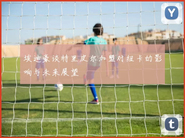 埃迪豪谈特里皮尔加盟对纽卡的影响与未来展望